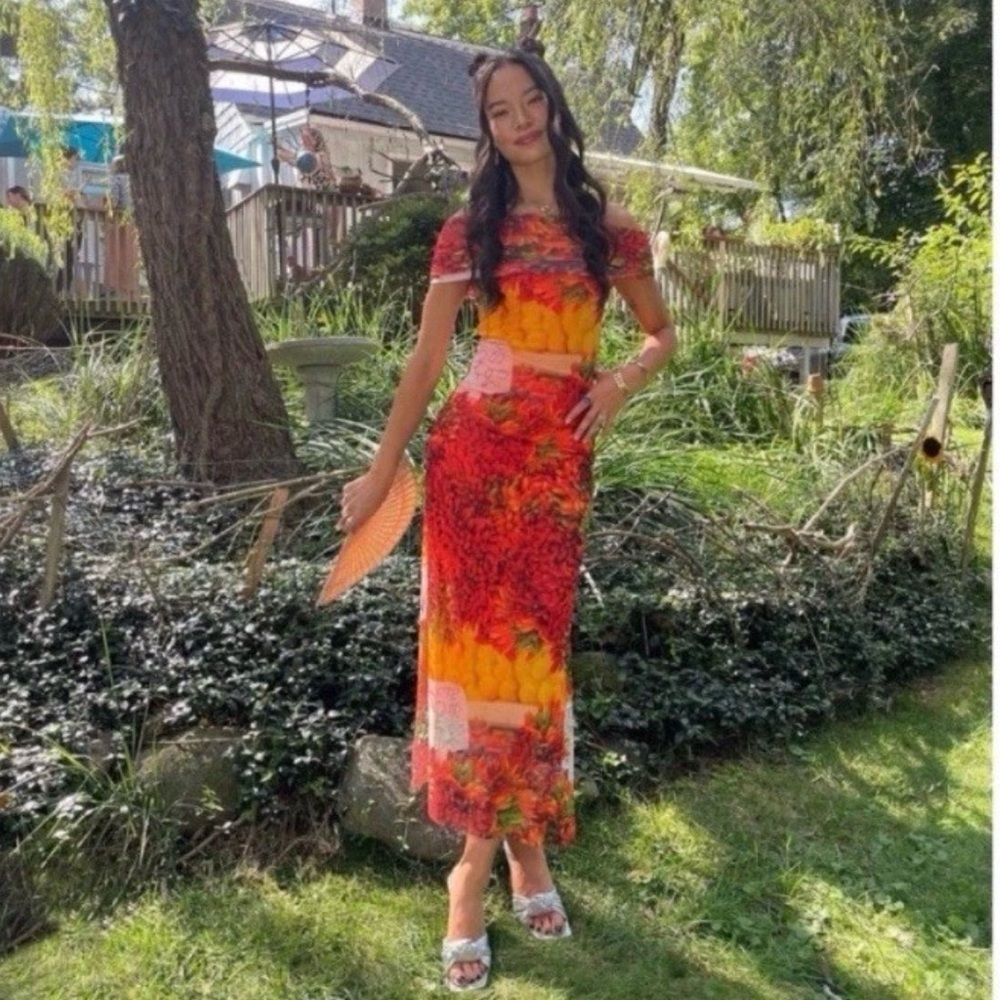 ZARA Over the Shoulder Picante All Print Tulle Bodycon Maxi Dress Fruit - Picture 2 of 7